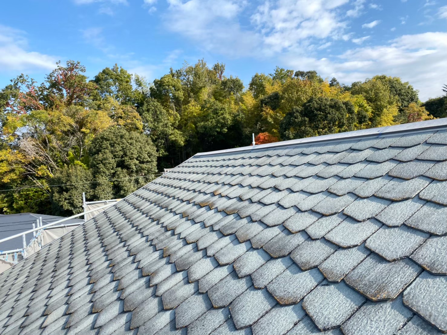 鱗スレートをカバー工法